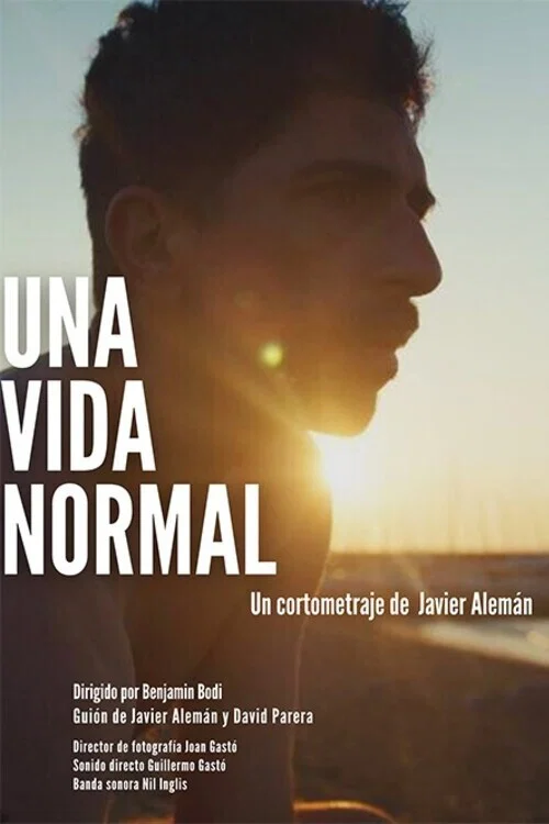 Una vida normal постер