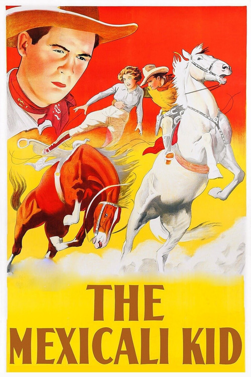 The Mexicali Kid постер