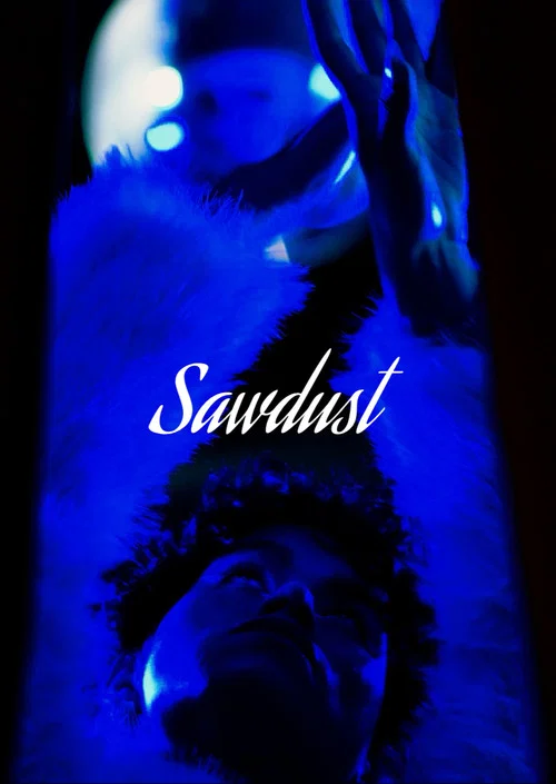 Sawdust постер