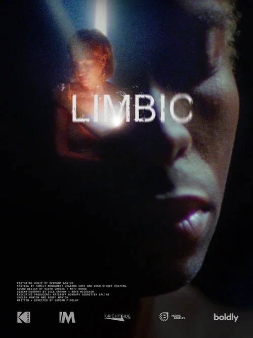 Limbic постер