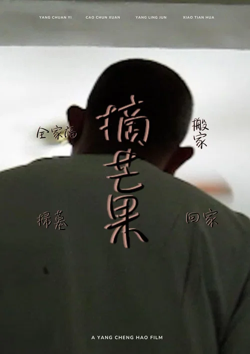 全家福.搬家.掃墓.摘芒果.回家 постер