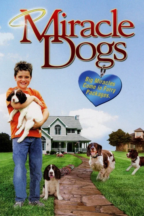 Miracle Dogs постер