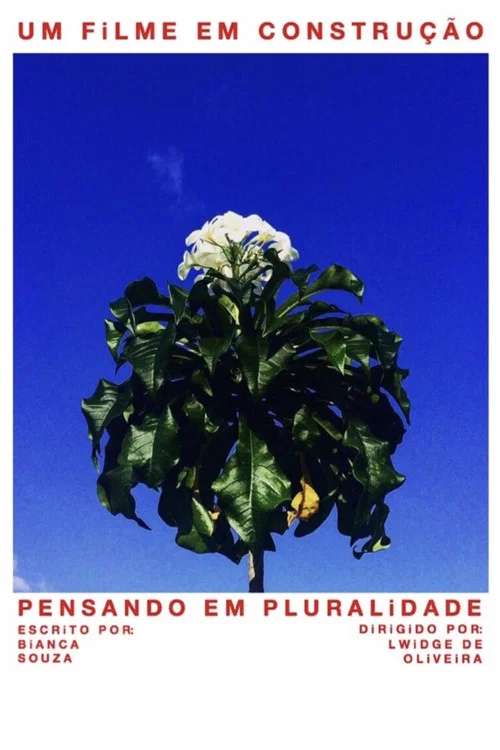 Pensando em Pluralidade постер
