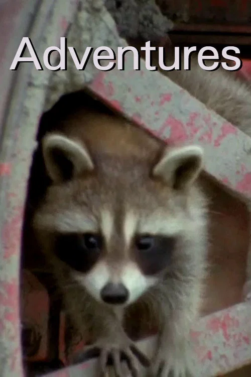Adventures постер