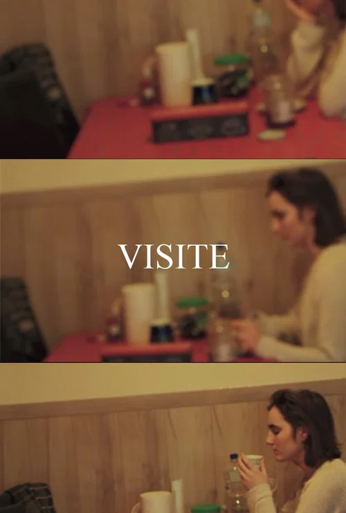 VISIT постер