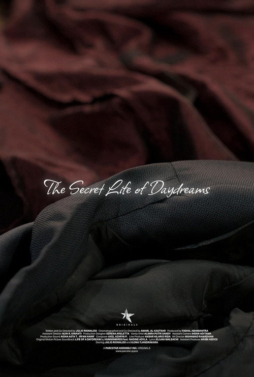 The Secret Life of Daydreams постер