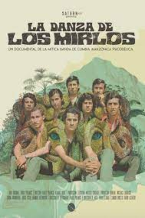 La danza de los Mirlos постер