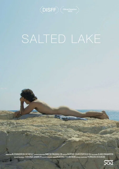 Salted Lake постер
