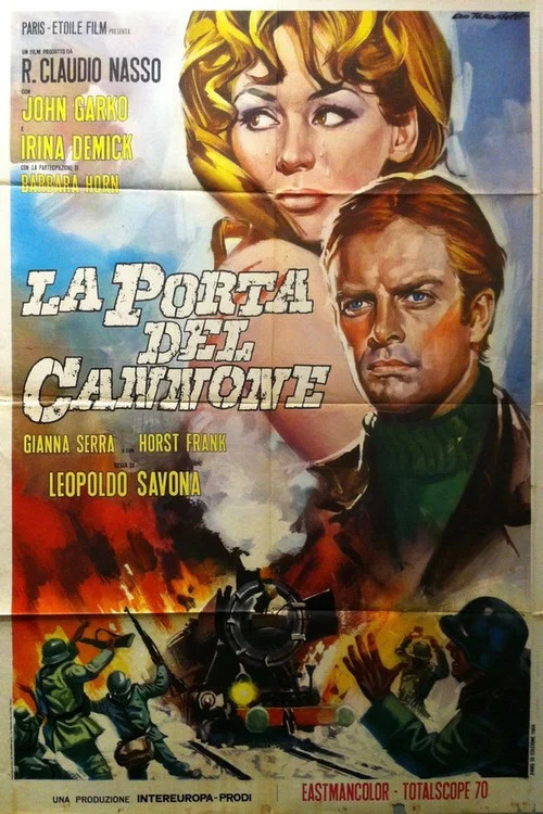 La porta del cannone постер