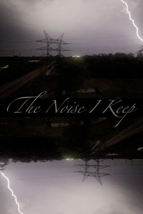 The Noise I Keep постер