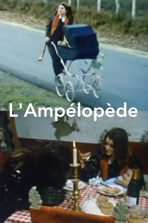 L'Ampélopède постер