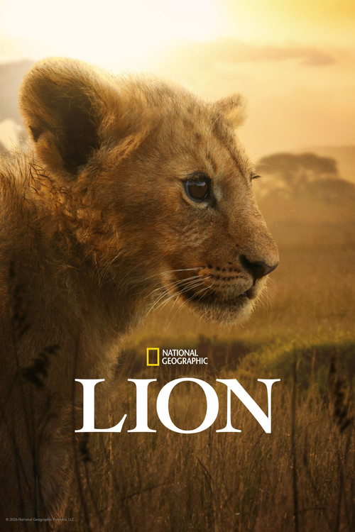 LION постер