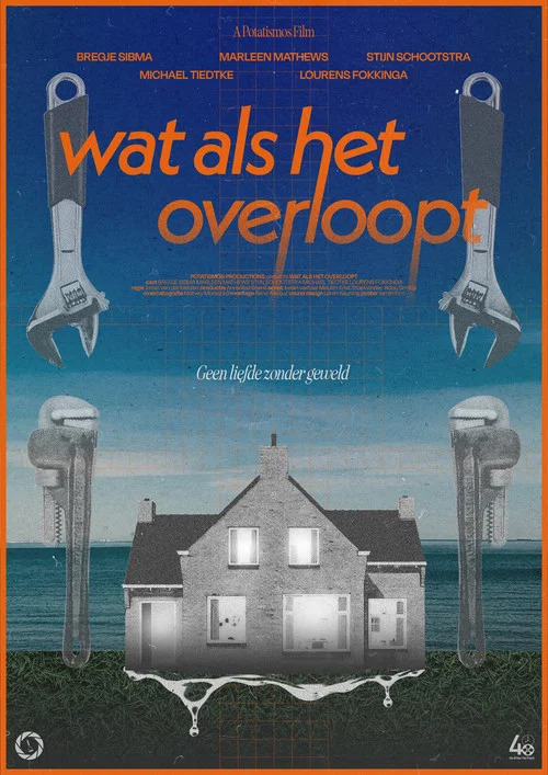 wat als het overloopt постер