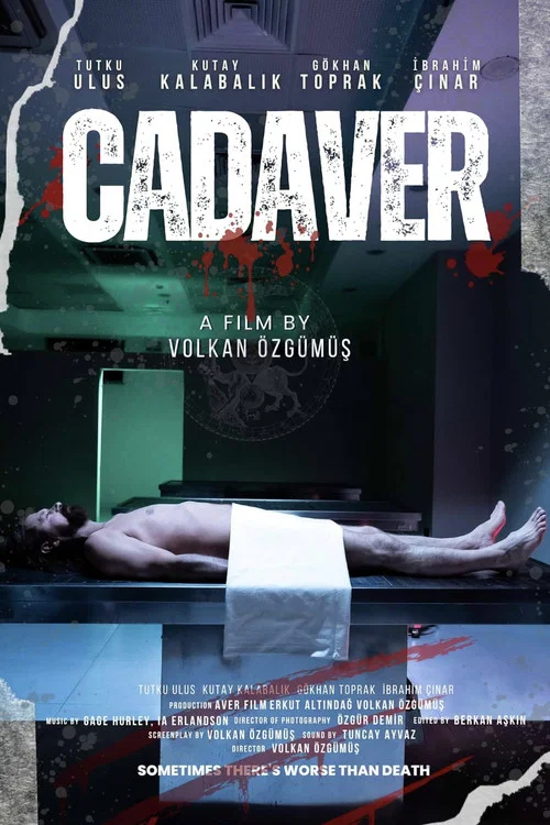 The Cadaver постер