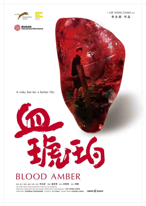 Blood Amber постер