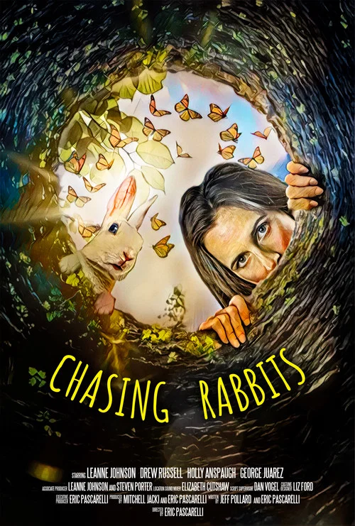 Chasing Rabbits постер