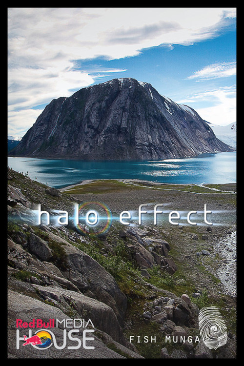 Halo Effect постер