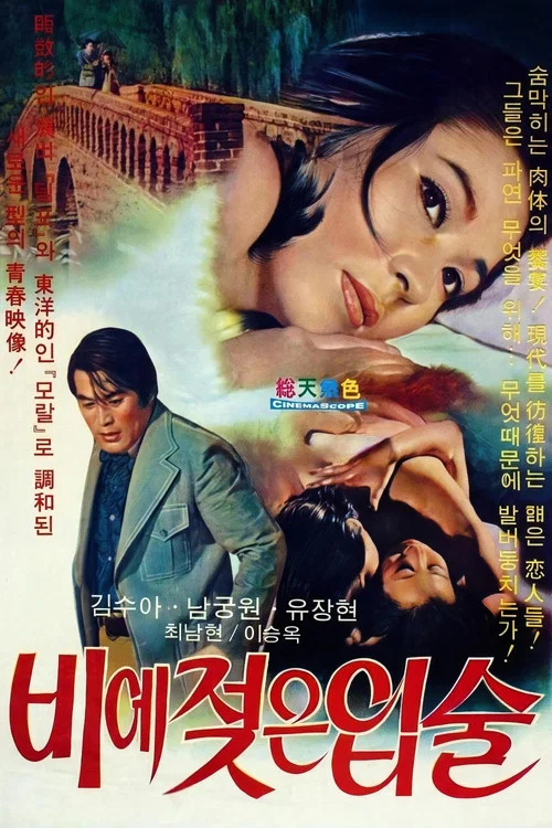 비에 젖은 입술 постер