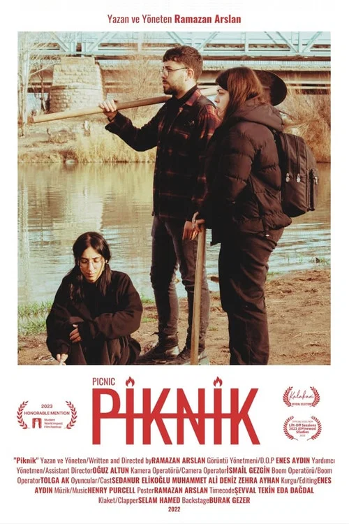 Piknik постер