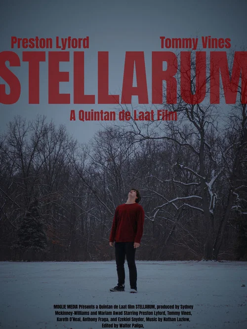 STELLARUM постер