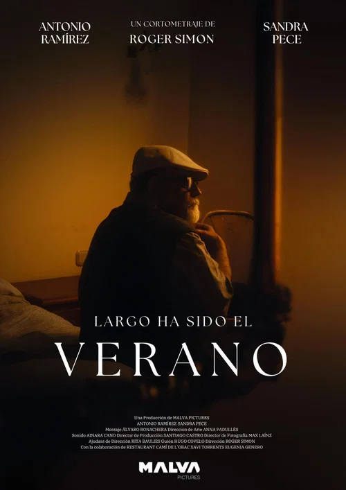 Largo ha sido el Verano постер
