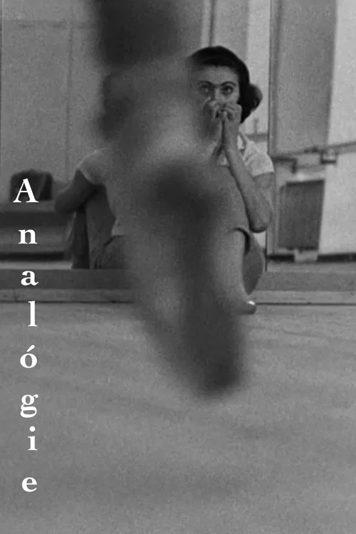 Analógie постер