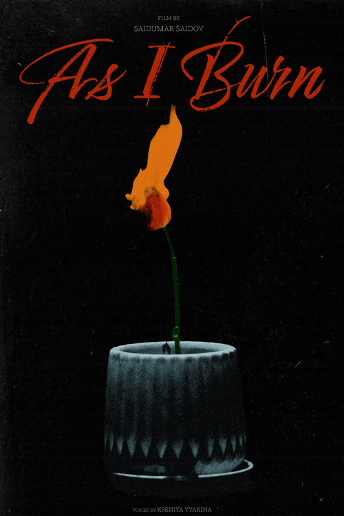 As I Burn постер