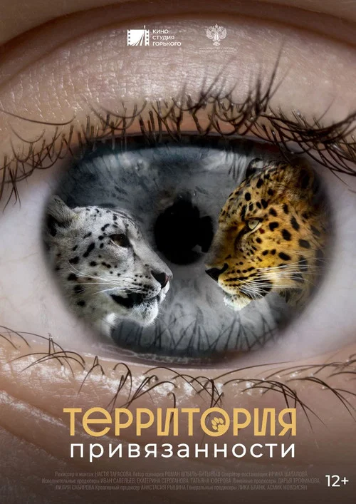 Территория привязанности постер