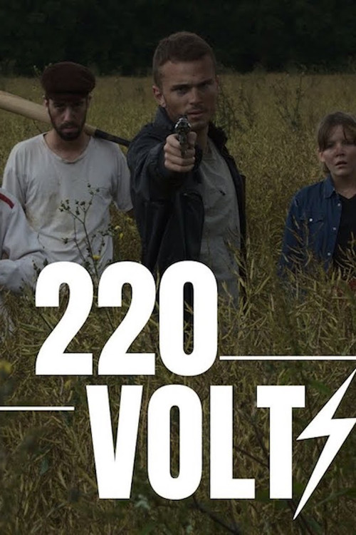 220 VOLTS постер