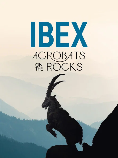 Ibex: Acrobats on the Rocks постер