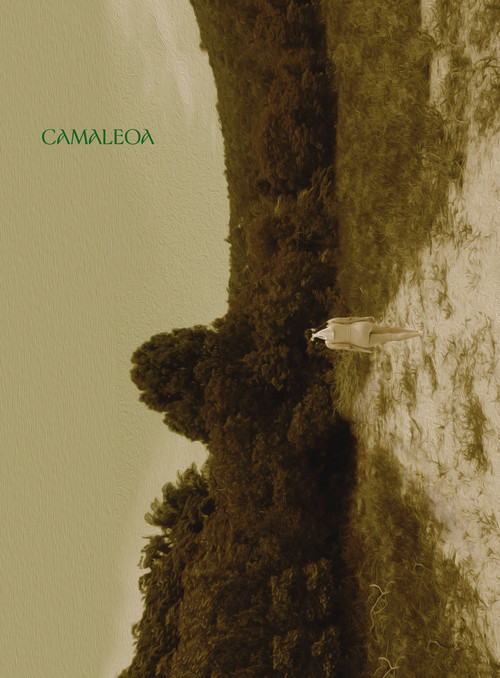 Camaleoa постер