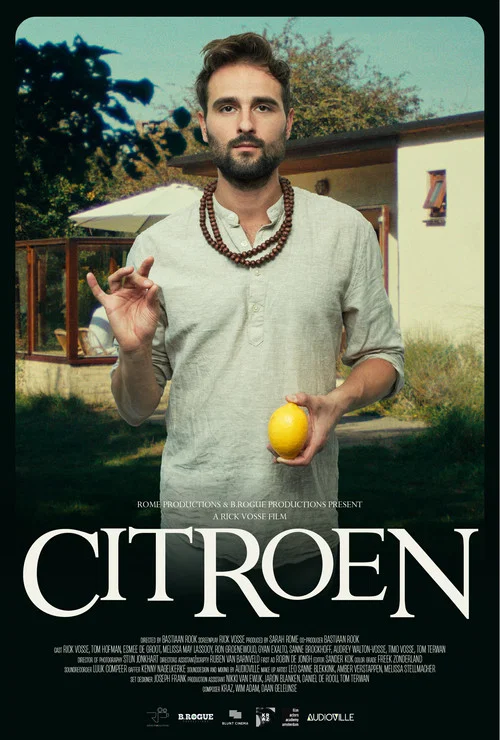 Citroen постер
