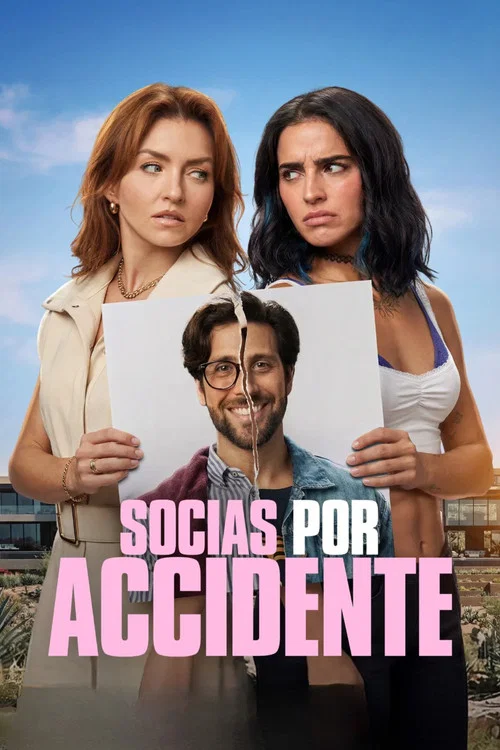 Accidental Partners постер