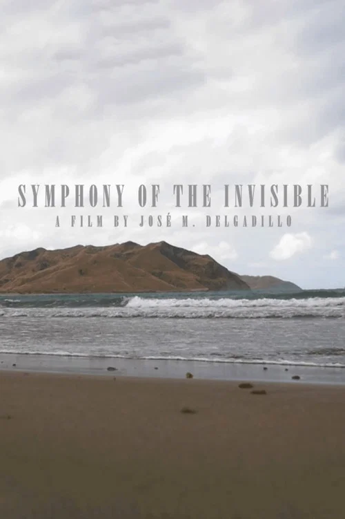 Sinfonía de lo invisible постер