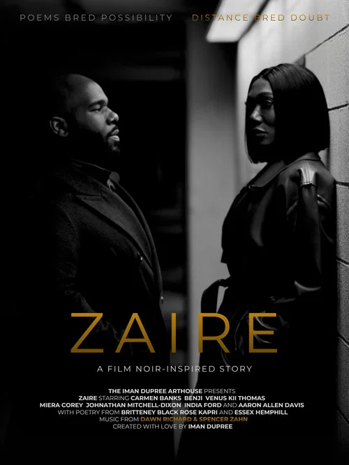 Zaire: A Film Noir-Inspired Story постер
