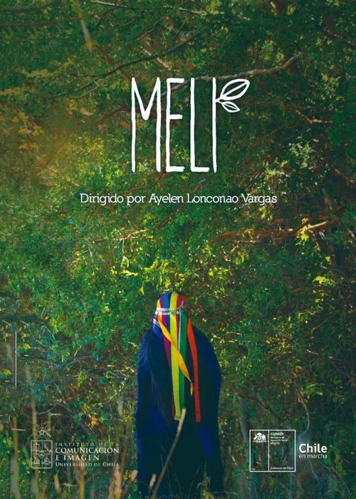 Meli постер