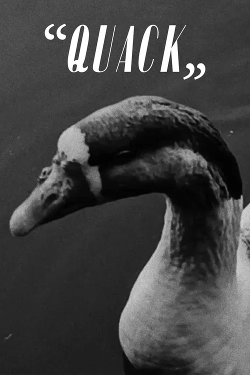 “Quack” постер