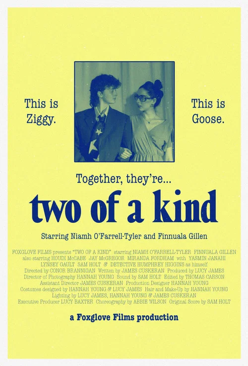 Two of a Kind постер