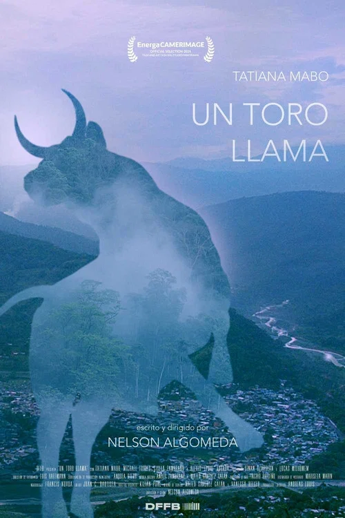 Un toro llama постер