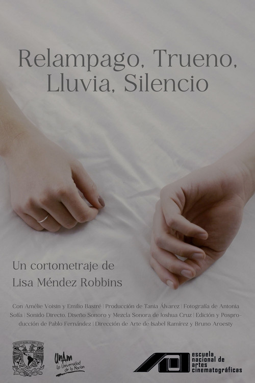 Relámpago, Trueno, Lluvia, Silencio постер