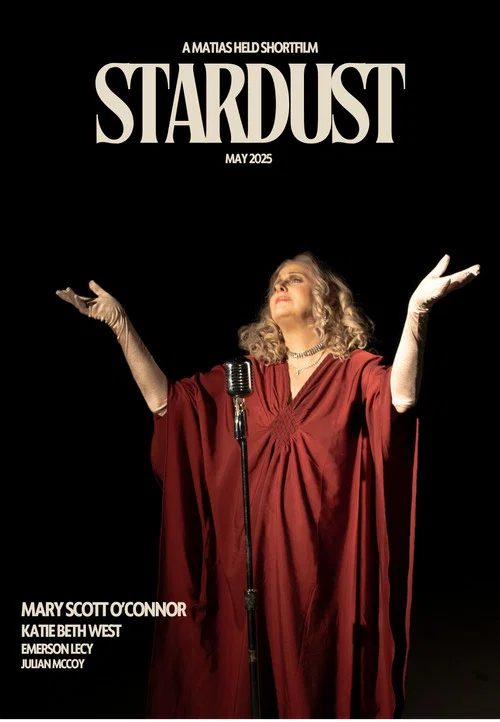 STARDUST постер