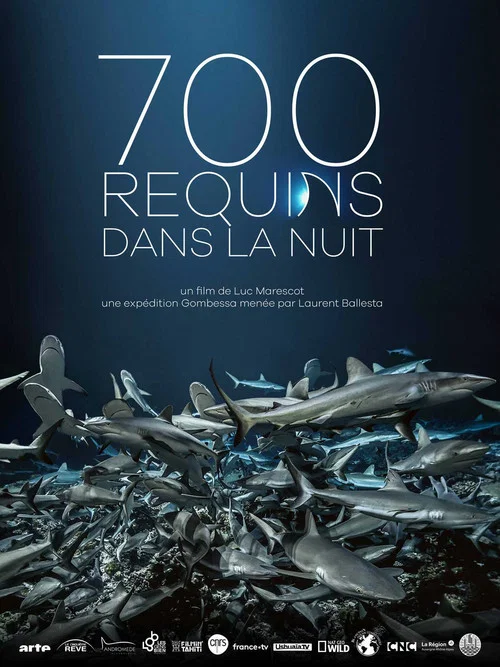 700 requins dans la nuit постер
