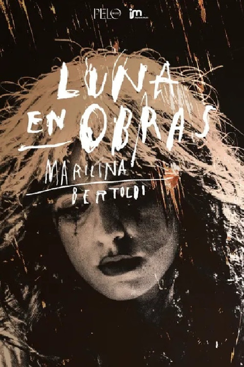 Luna en Obras постер