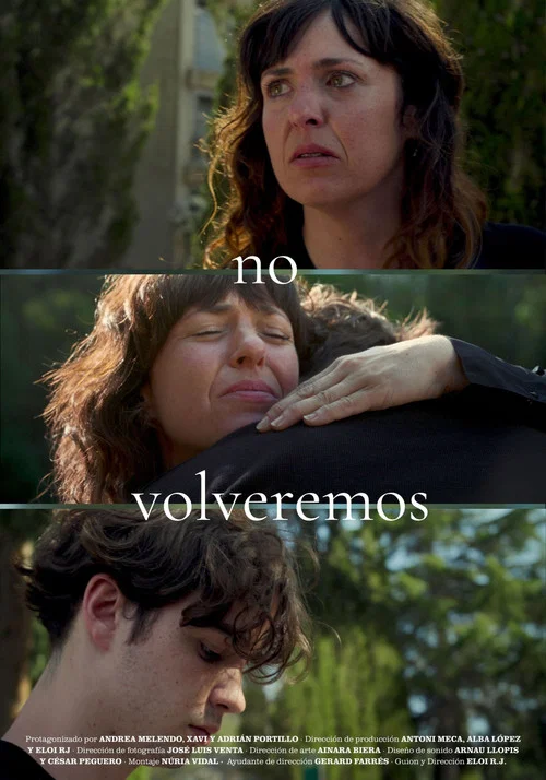 No volveremos постер