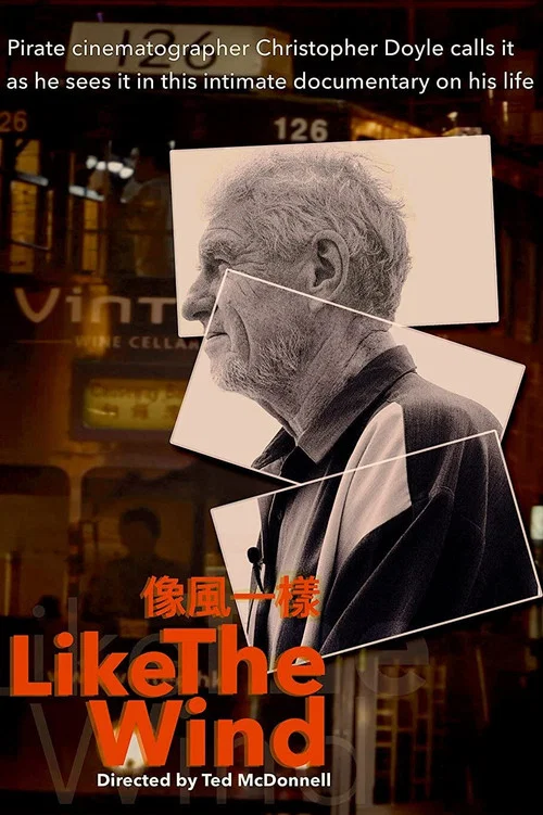 Like the Wind постер