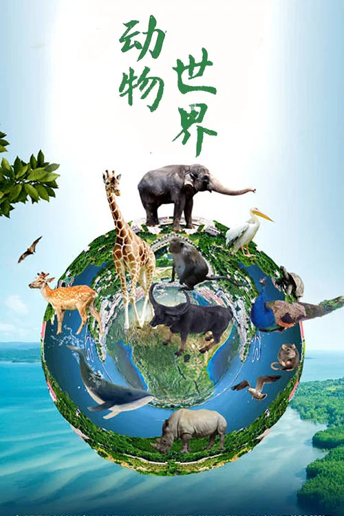 动物世界(赵忠祥) постер