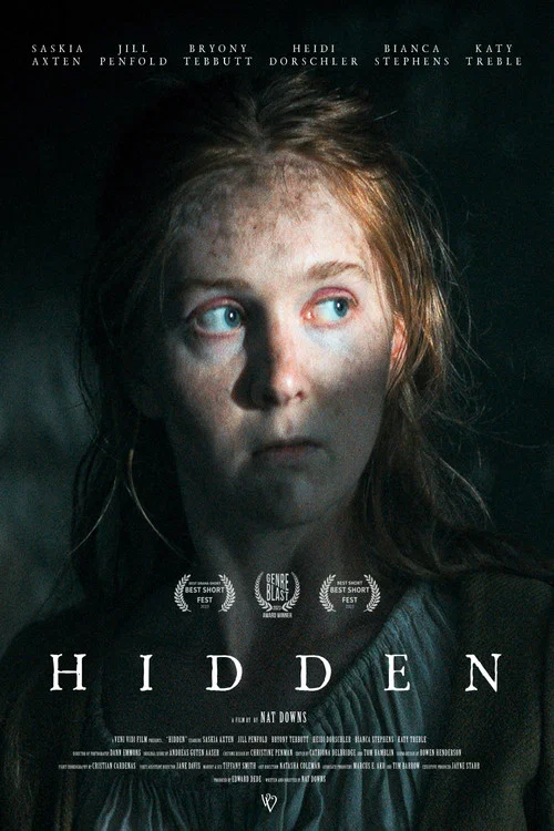 Hidden постер