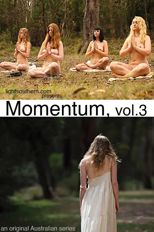 Momentum, vol. 3 постер