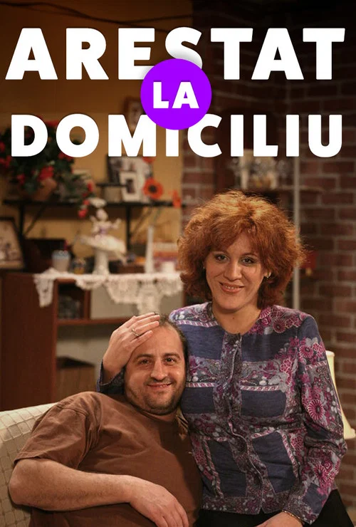 Arestat la domiciliu постер