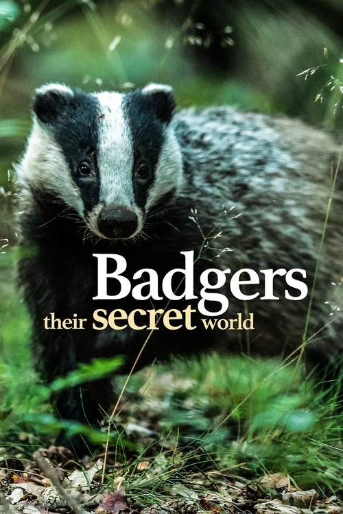 Badgers: Their Secret World постер